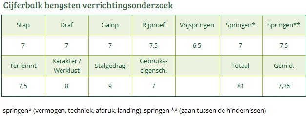 Cijferbalk BRUMMERHOEVE'S LEVI H