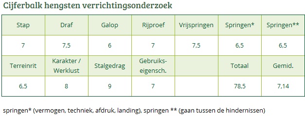 Cijferbalk BURGHOEVE'S PLOT BLEU