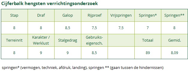 Cijferbalk CASANDRO VAN DE STOMPSLAG