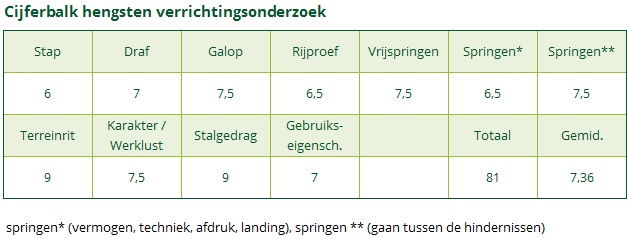 Cijferbalk DE MENSINGHE'S RINALDO