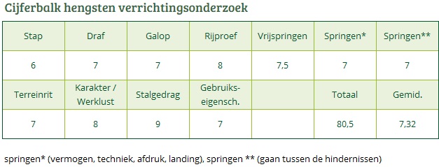 Cijferbalk LOMANSHEIDE BRENT