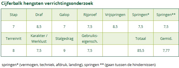 Cijferbalk REEKAMP'S ECLIPS