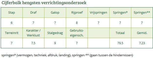 Cijferbalk TONGERENHOF PERIDOOT