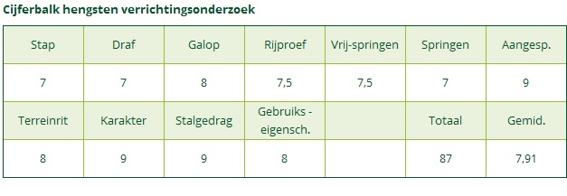 Cijferbalk Verrichtingen Brummershoeve s Boss (Grijs-Blauw) 5