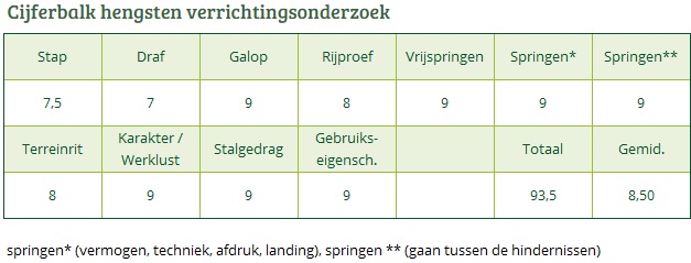 Cijferbalk SPOEKEDAMMETJES NICK (3)