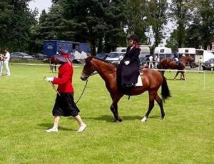 Leading Rein