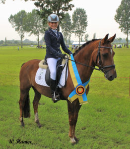 Sportuitslagen Archief – Nederlands New Forest Pony Stamboek