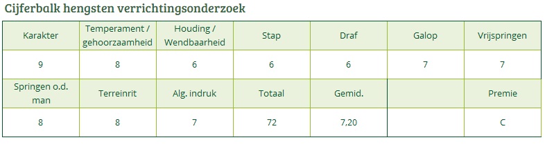 Cijferbalk BERKHOF'S HIGGLEDY PIGGLEDY